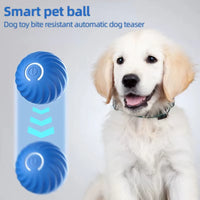 Dog Toys Intelligent Moving Jump Ball Rechargeable Bite-Resistant Rolling Ball Cat and Dog Chase Interactive Pet Toy