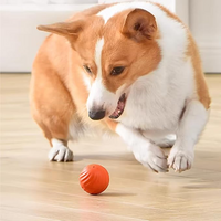 Interactive Rechargeable Jumping Ball for Dogs