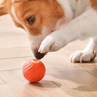Interactive Rechargeable Jumping Ball for Dogs