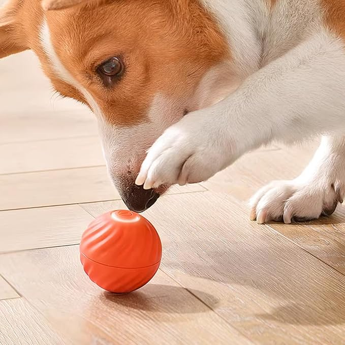 Interactive Rechargeable Jumping Ball for Dogs