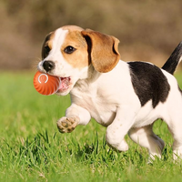 Interactive Rechargeable Jumping Ball for Dogs