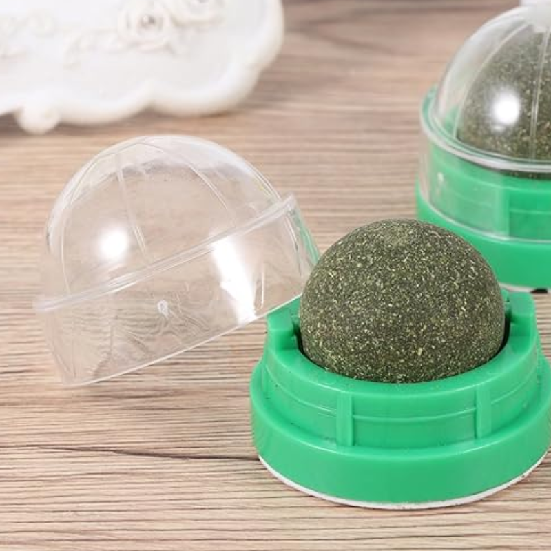 Interactive Natural Catnip Wall Ball Toy