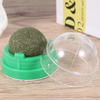 Interactive Natural Catnip Wall Ball Toy