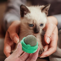 Interactive Natural Catnip Wall Ball Toy