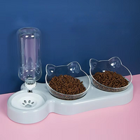 Raised Feeding Bowls for Cats and Dogs – Durable Design