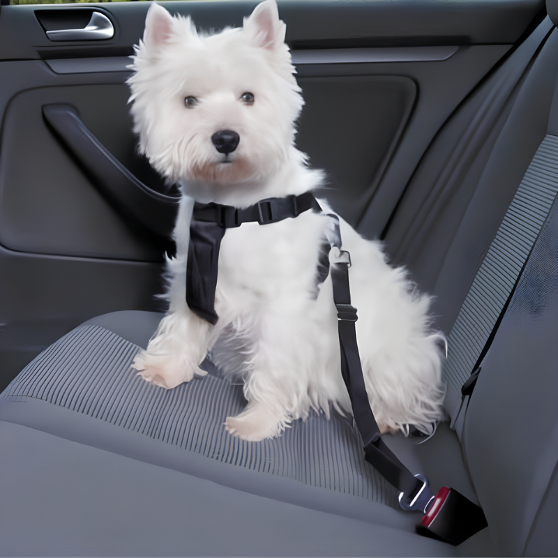 Adjustable Car Restraint Belt for Pets